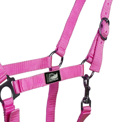 FOAL HALTER WITH DOUBLE ADJUSTMENT AND SNAP HOOK