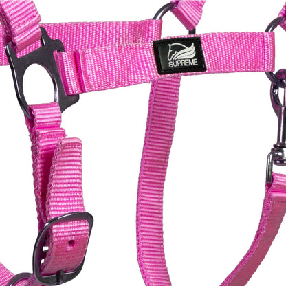 FOAL HALTER WITH DOUBLE ADJUSTMENT AND SNAP HOOK
