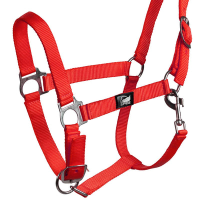 FOAL HALTER WITH DOUBLE ADJUSTMENT AND SNAP HOOK
