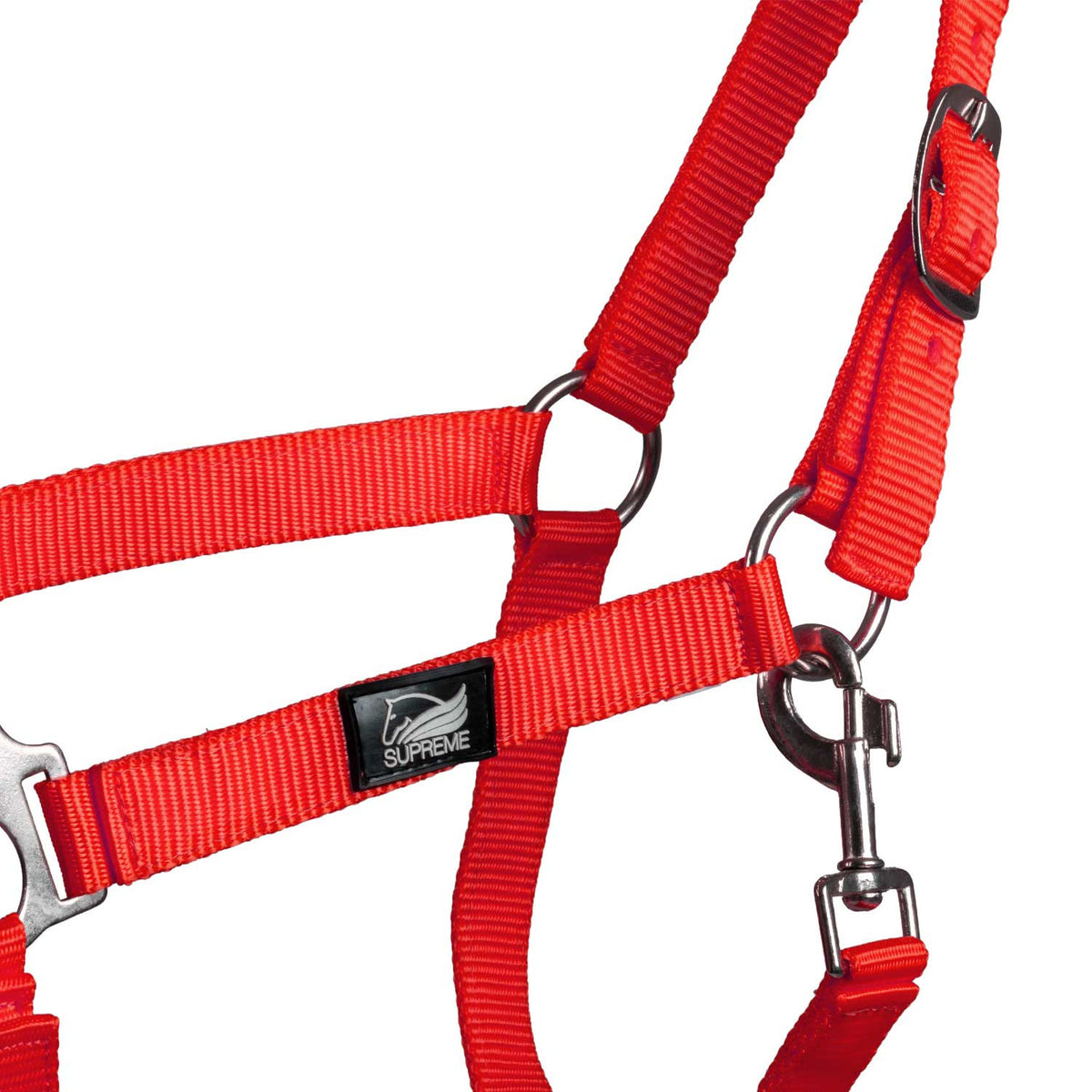 FOAL HALTER WITH DOUBLE ADJUSTMENT AND SNAP HOOK