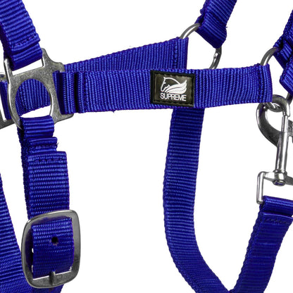 FOAL HALTER WITH DOUBLE ADJUSTMENT AND SNAP HOOK