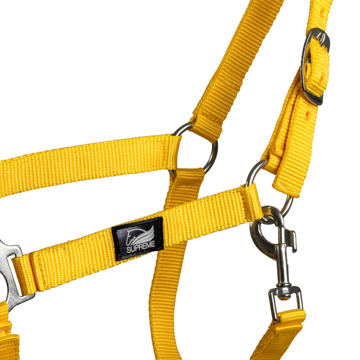 FOAL HALTER WITH DOUBLE ADJUSTMENT AND SNAP HOOK