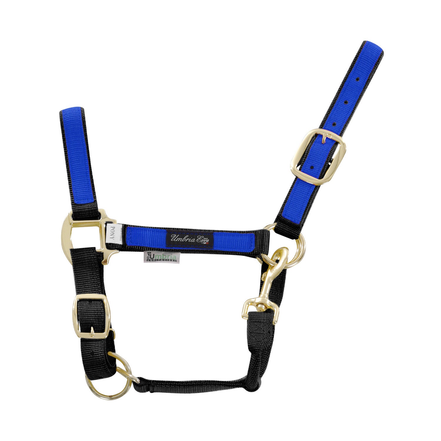NYLON HALTER WITH COLORED PARTS.