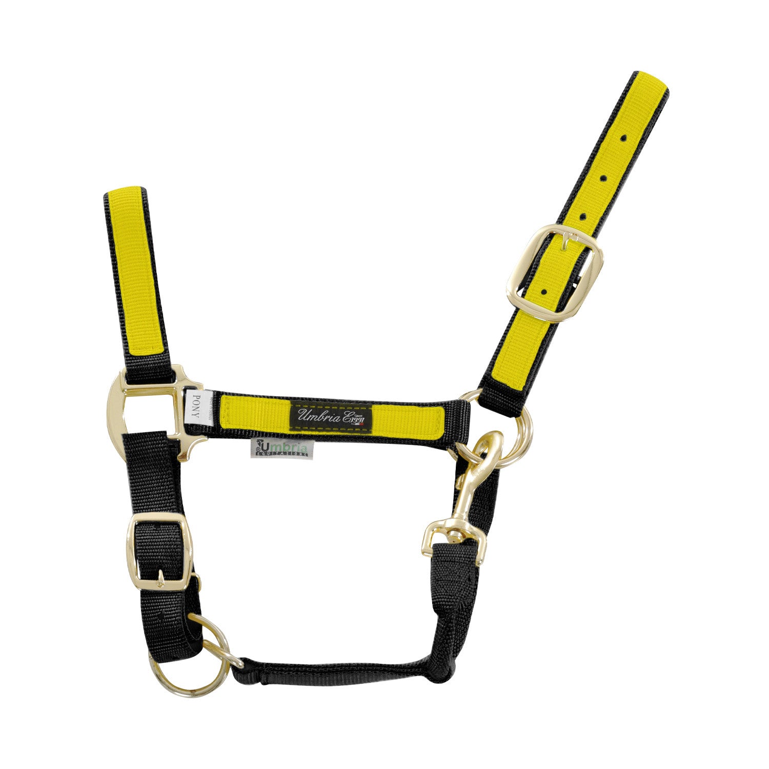 NYLON HALTER WITH COLORED PARTS.