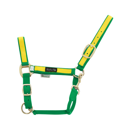 NYLON HALTER WITH COLORED PARTS