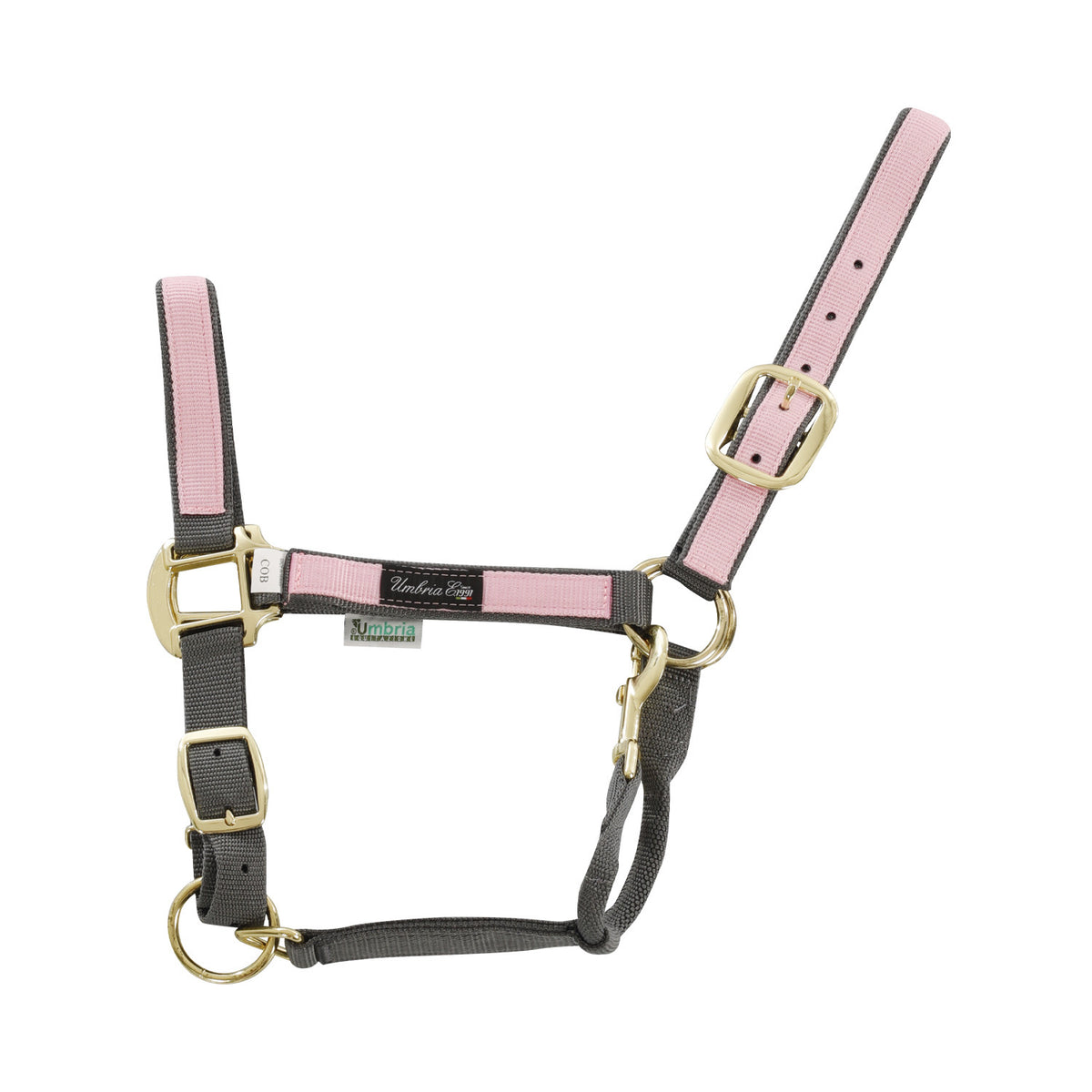 NYLON HALTER WITH COLORED PARTS