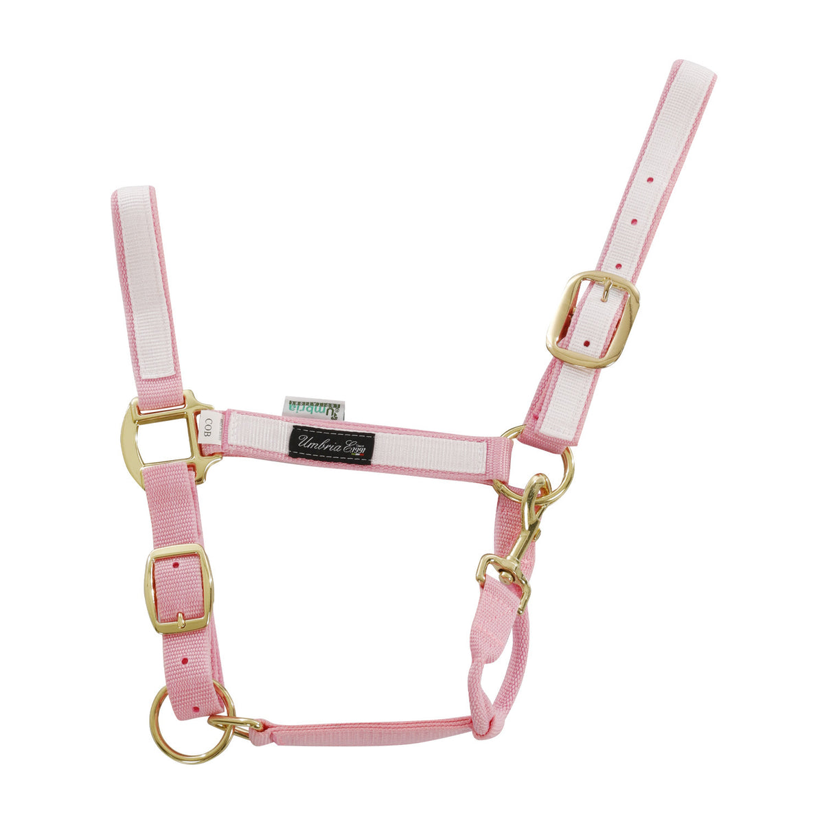 NYLON HALTER WITH COLORED PARTS