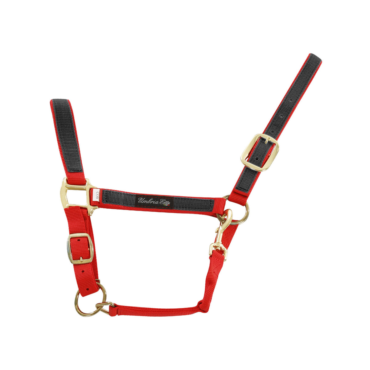 NYLON HALTER WITH COLORED PARTS