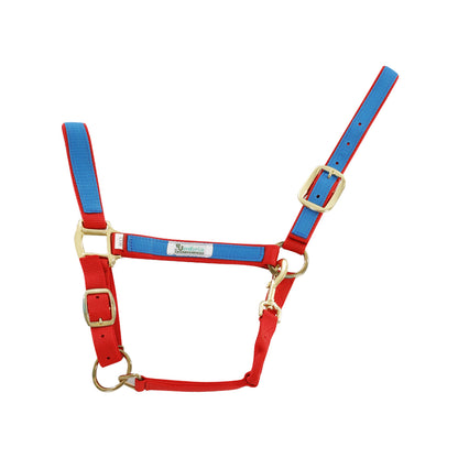 NYLON HALTER WITH COLORED PARTS.