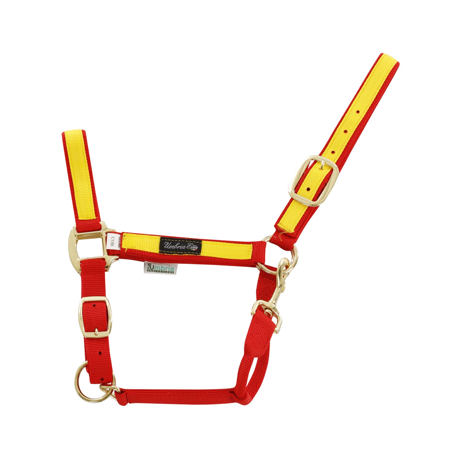 NYLON HALTER WITH COLORED PARTS.