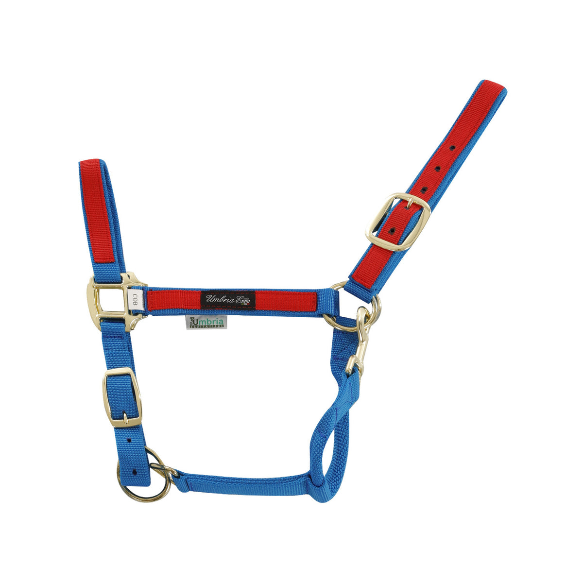 NYLON HALTER WITH COLORED PARTS