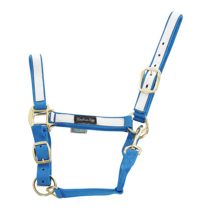 NYLON HALTER WITH COLORED PARTS