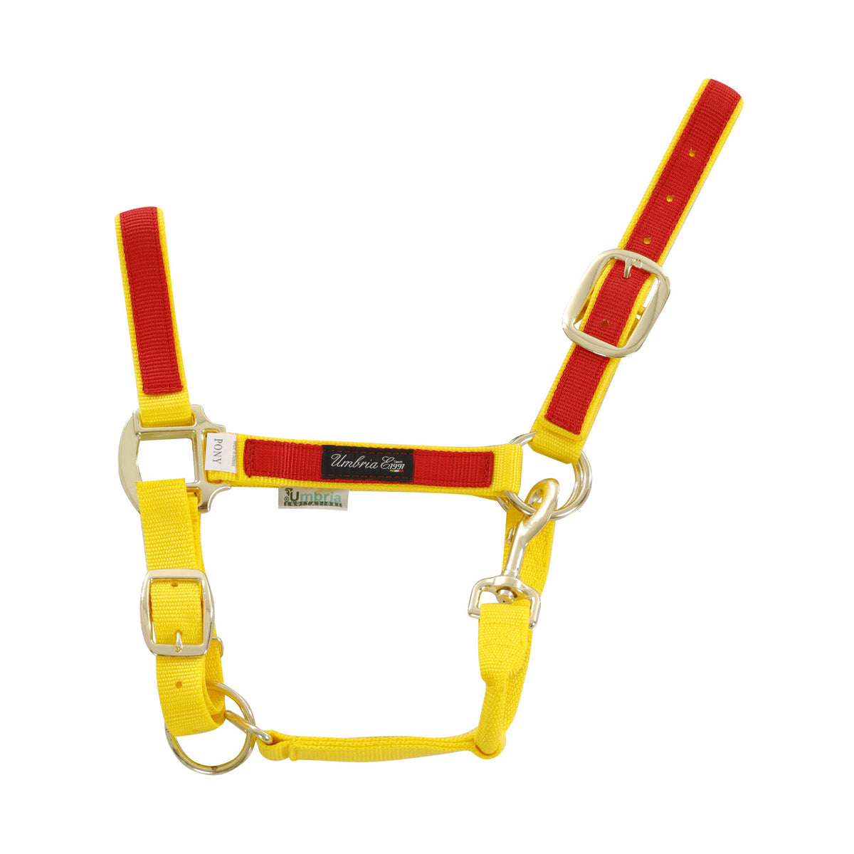 NYLON HALTER WITH COLORED PARTS