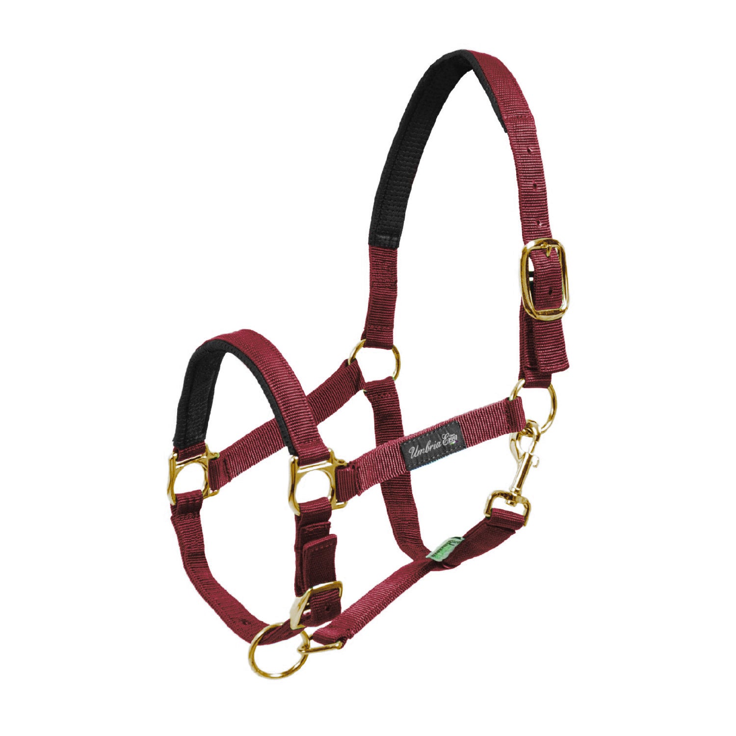 NYLON HALTER WITH NEOPRENE REINFORCEMENT.