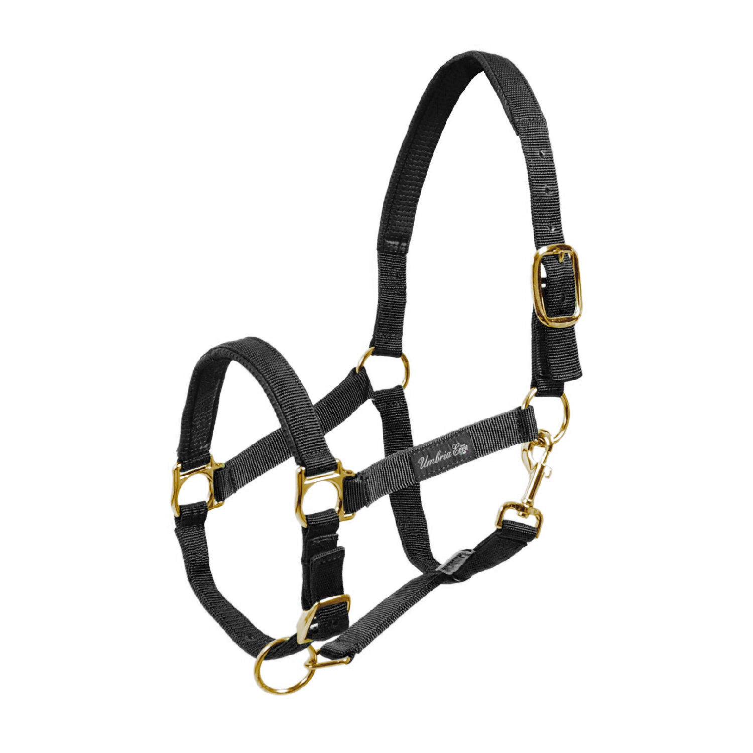 NYLON HALTER WITH NEOPRENE REINFORCEMENT.