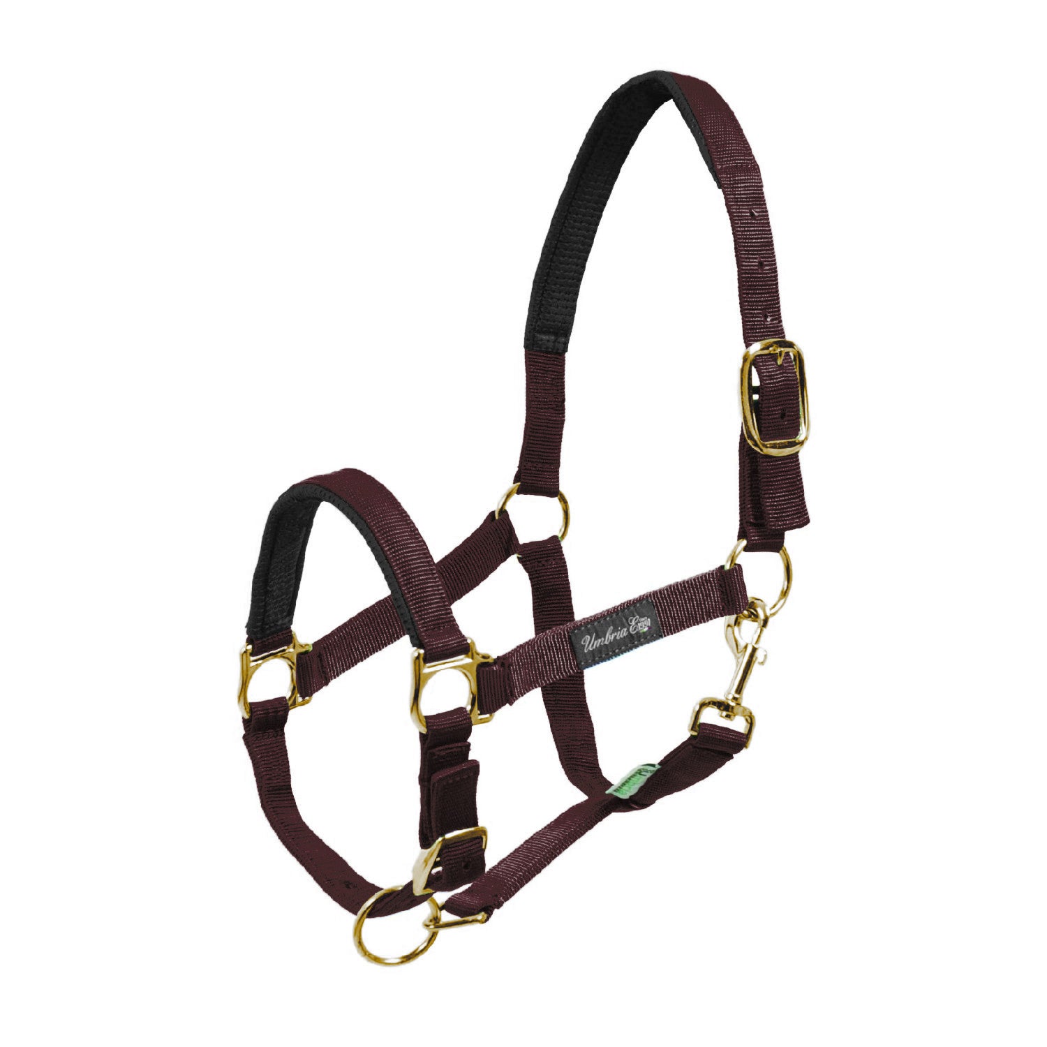 NYLON HALTER WITH NEOPRENE REINFORCEMENT.