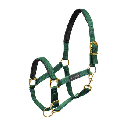 NYLON HALTER WITH NEOPRENE REINFORCEMENT
