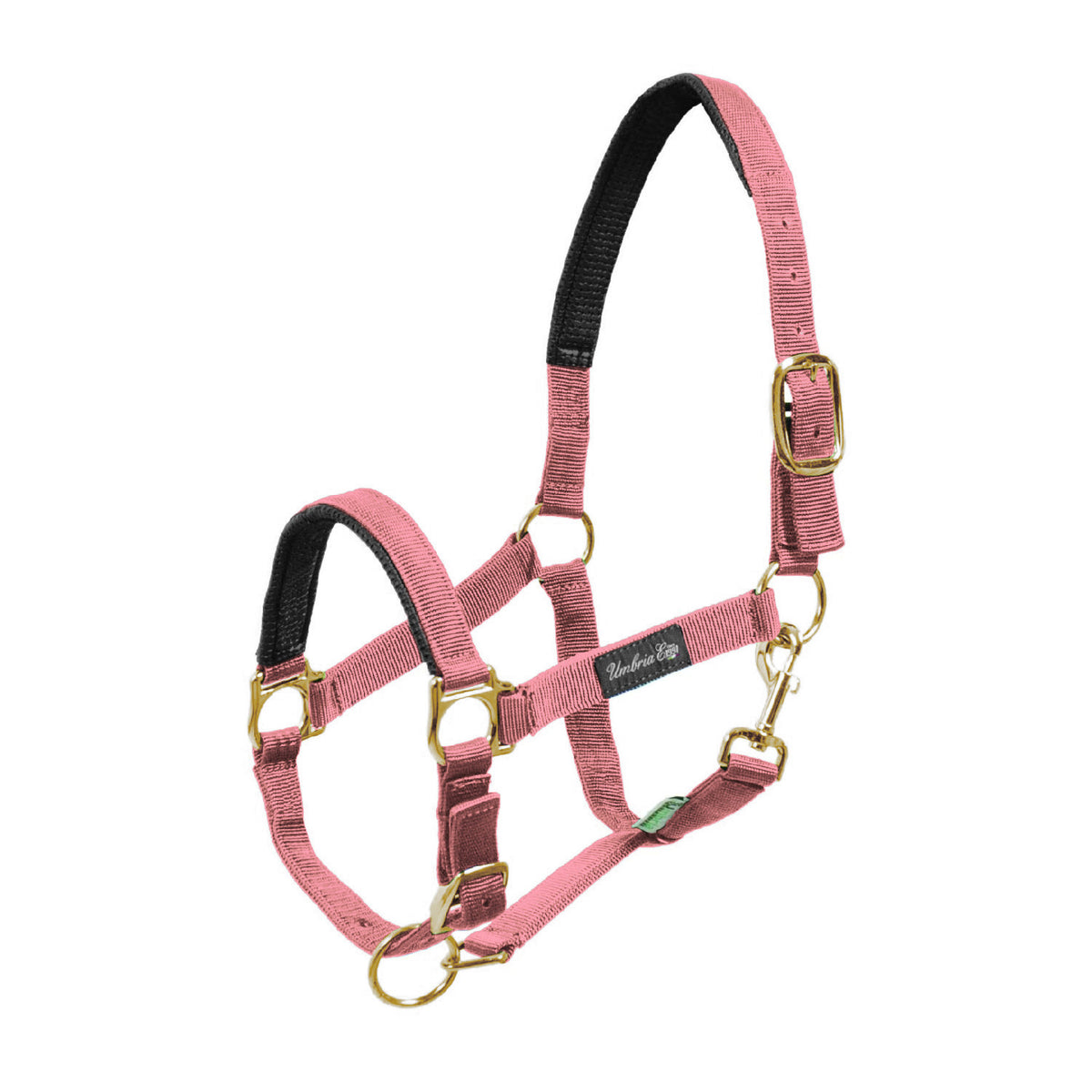 NYLON HALTER WITH NEOPRENE REINFORCEMENT