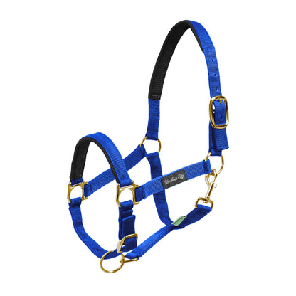 NYLON HALTER WITH NEOPRENE REINFORCEMENT