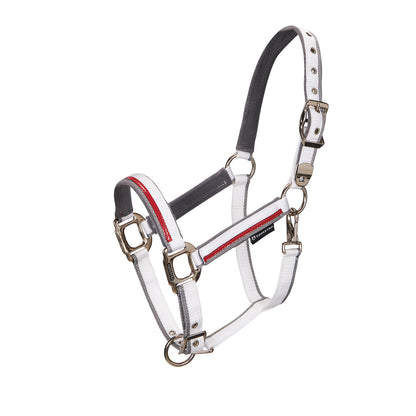 Double adjustment halter.