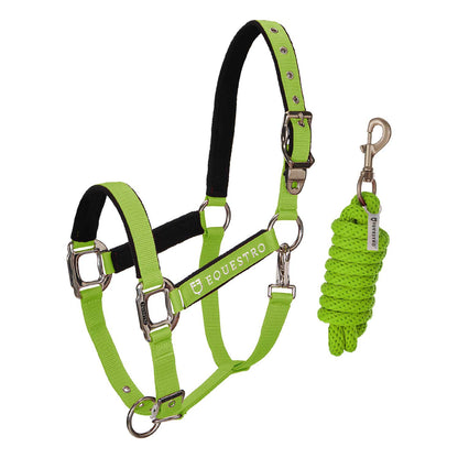 Padded double adjustment headcollar.