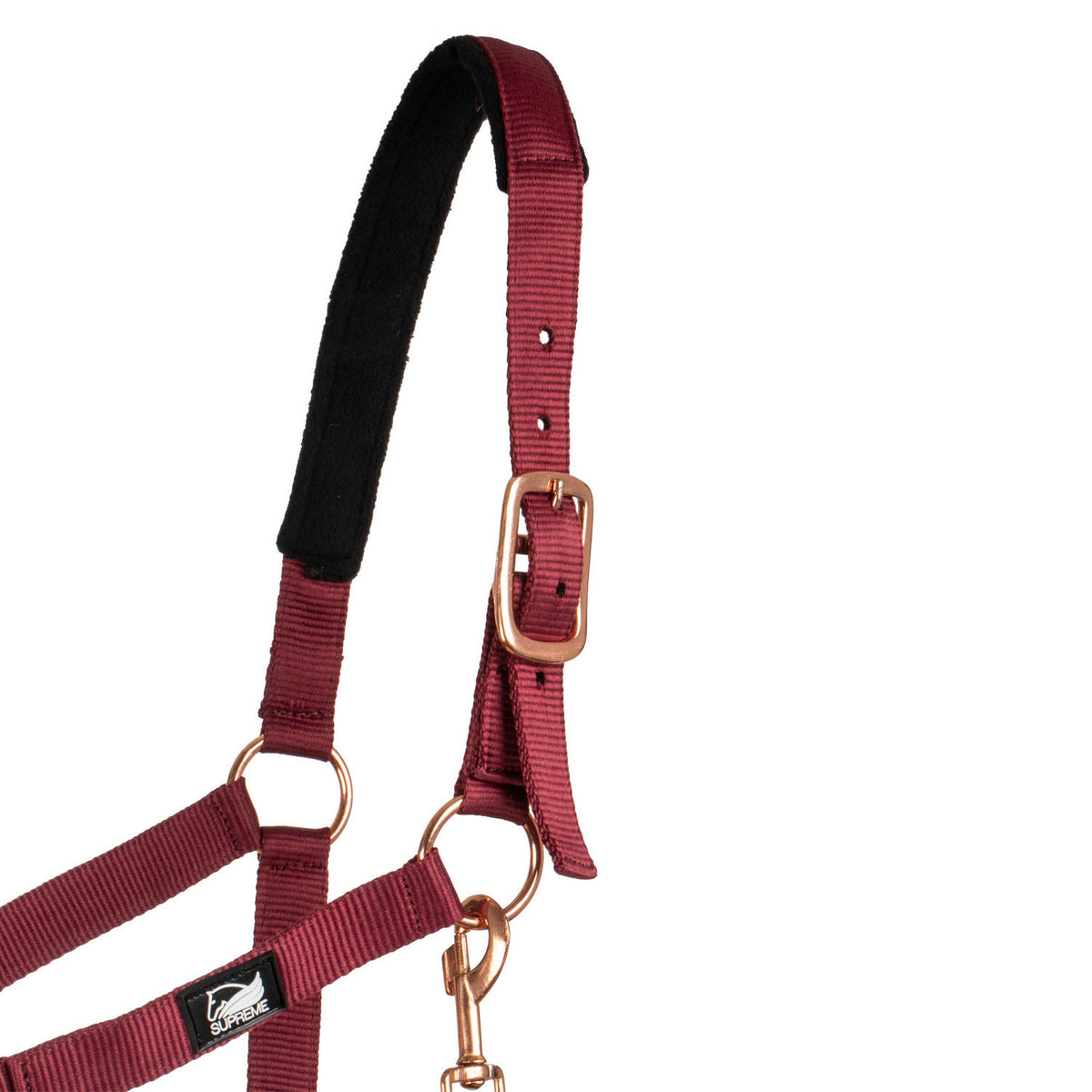 ROSE GOLD LINE NYLON HALTER + LEAD