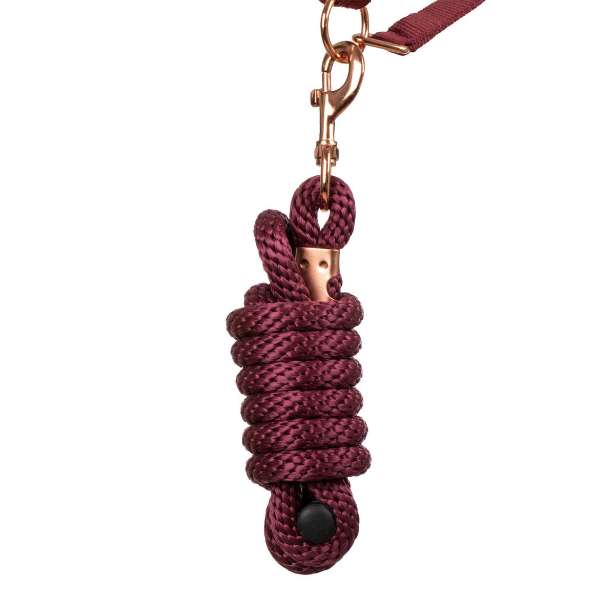ROSE GOLD LINE NYLON HALTER + LEAD