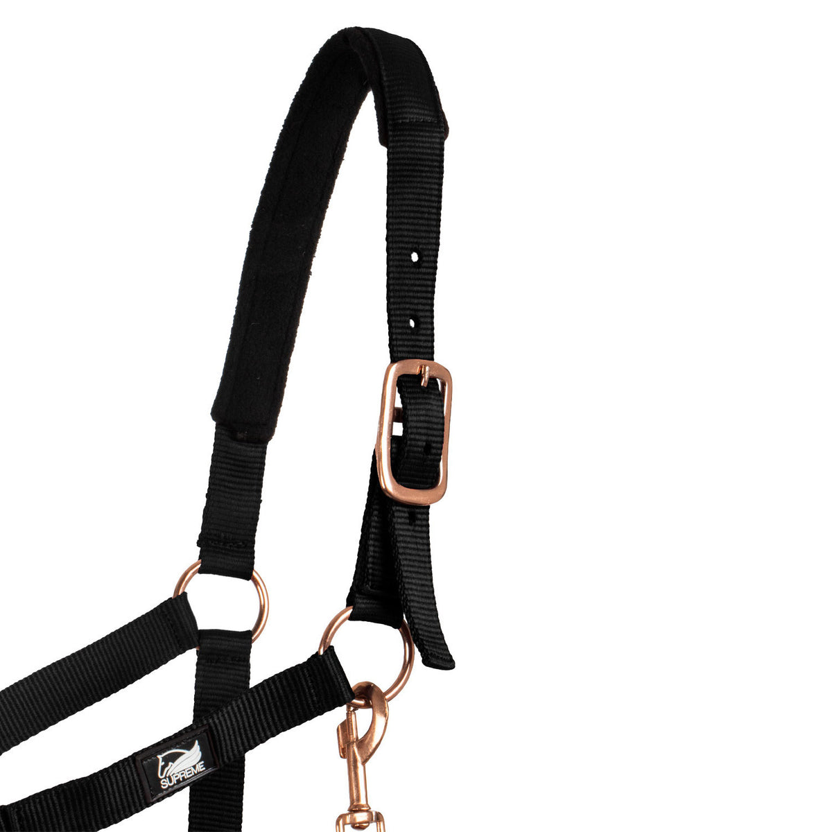 ROSE GOLD LINE NYLON HALTER + LEAD