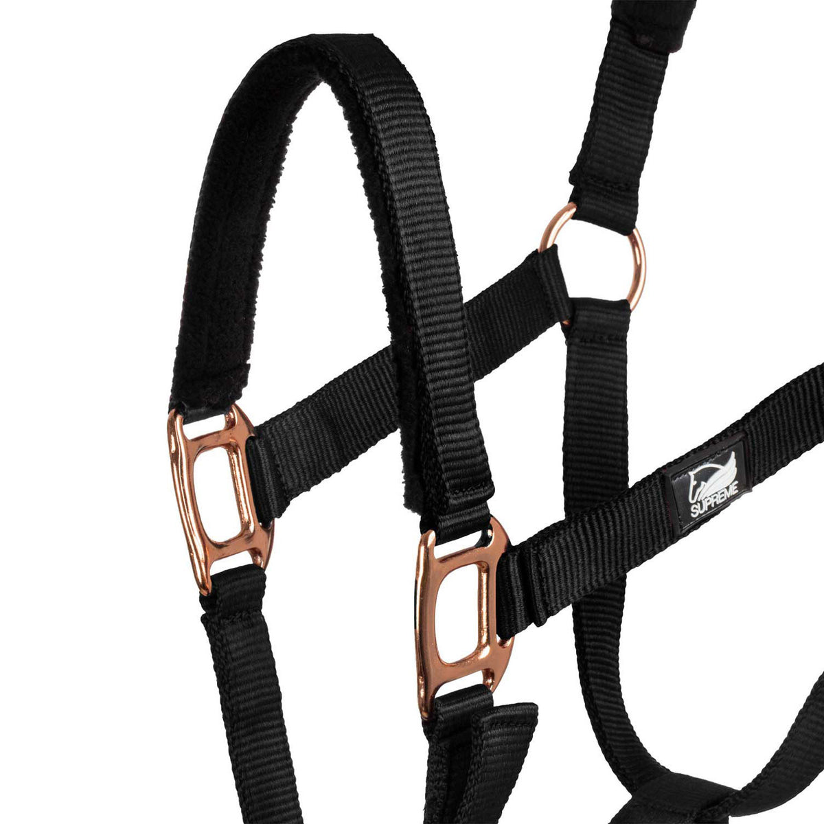 ROSE GOLD LINE NYLON HALTER + LEAD