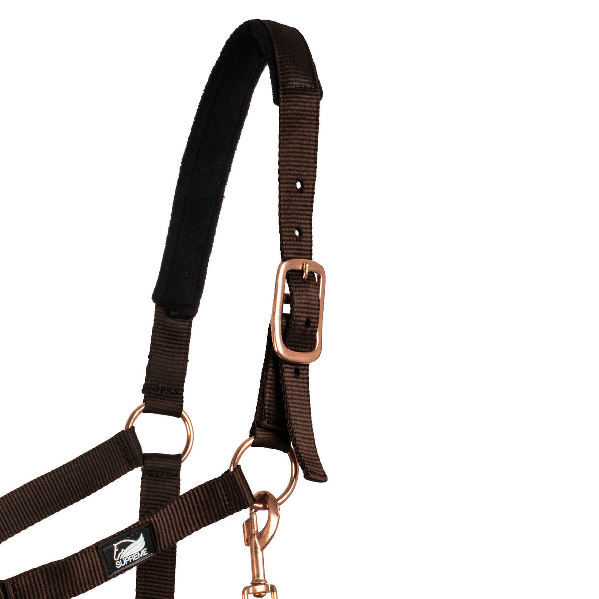 ROSE GOLD LINE NYLON HALTER + LEAD