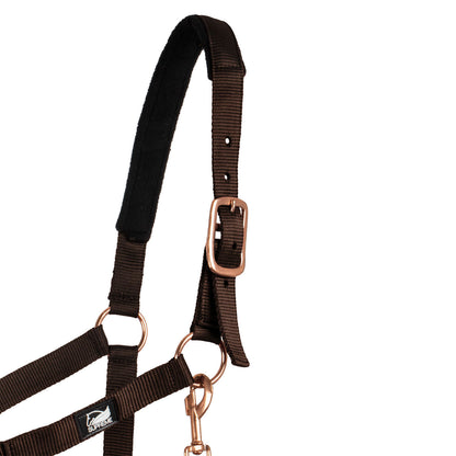 ROSE GOLD LINE NYLON HALTER + LEAD