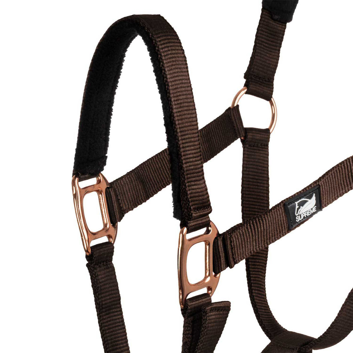 ROSE GOLD LINE NYLON HALTER + LEAD