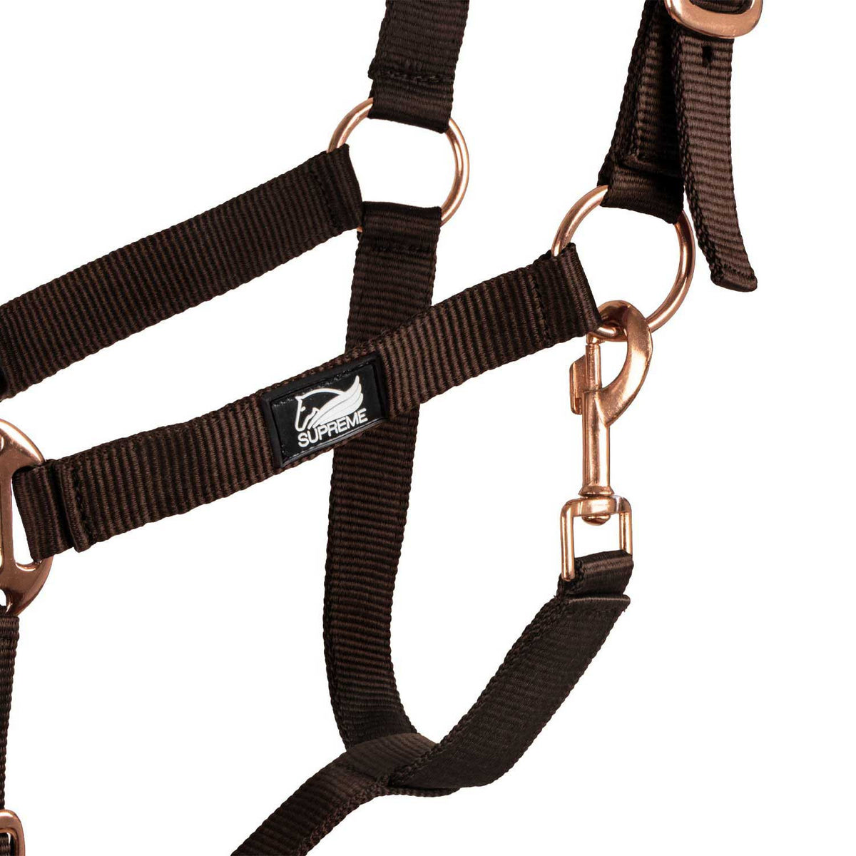 ROSE GOLD LINE NYLON HALTER + LEAD