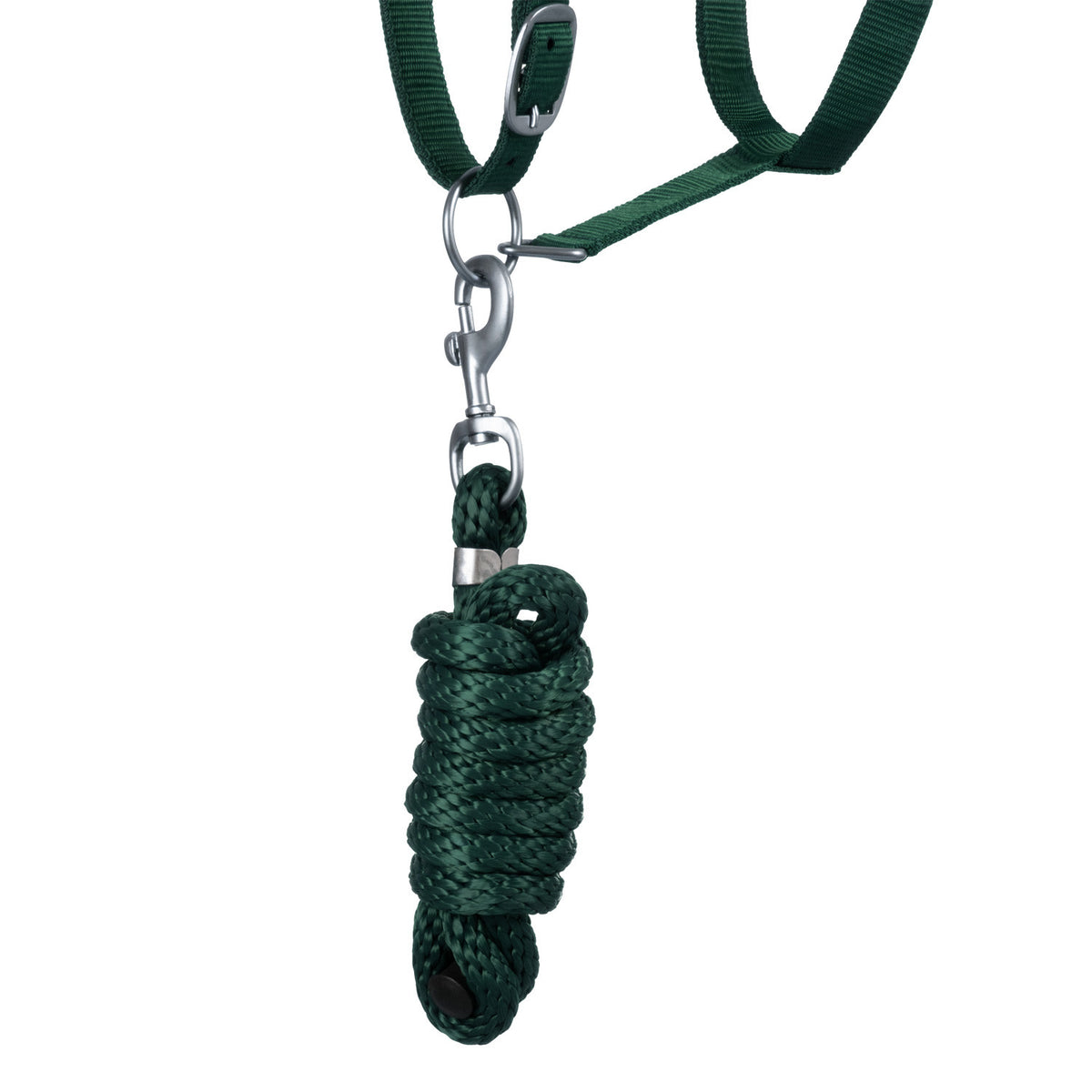 SYNTHETIC HALTER WITH LEAD  SOLID COLOR WITH REFLECTIVE STRIPES