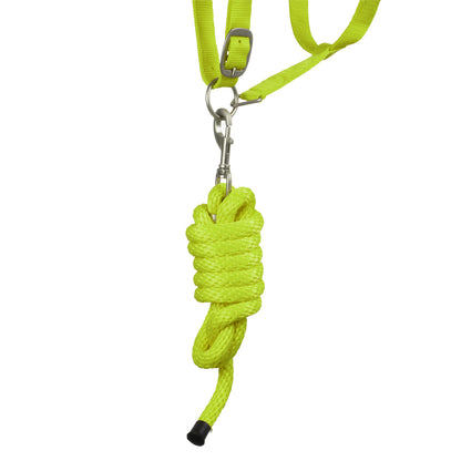 SYNTHETIC HALTER WITH LEAD  SOLID COLOR WITH REFLECTIVE STRIPES