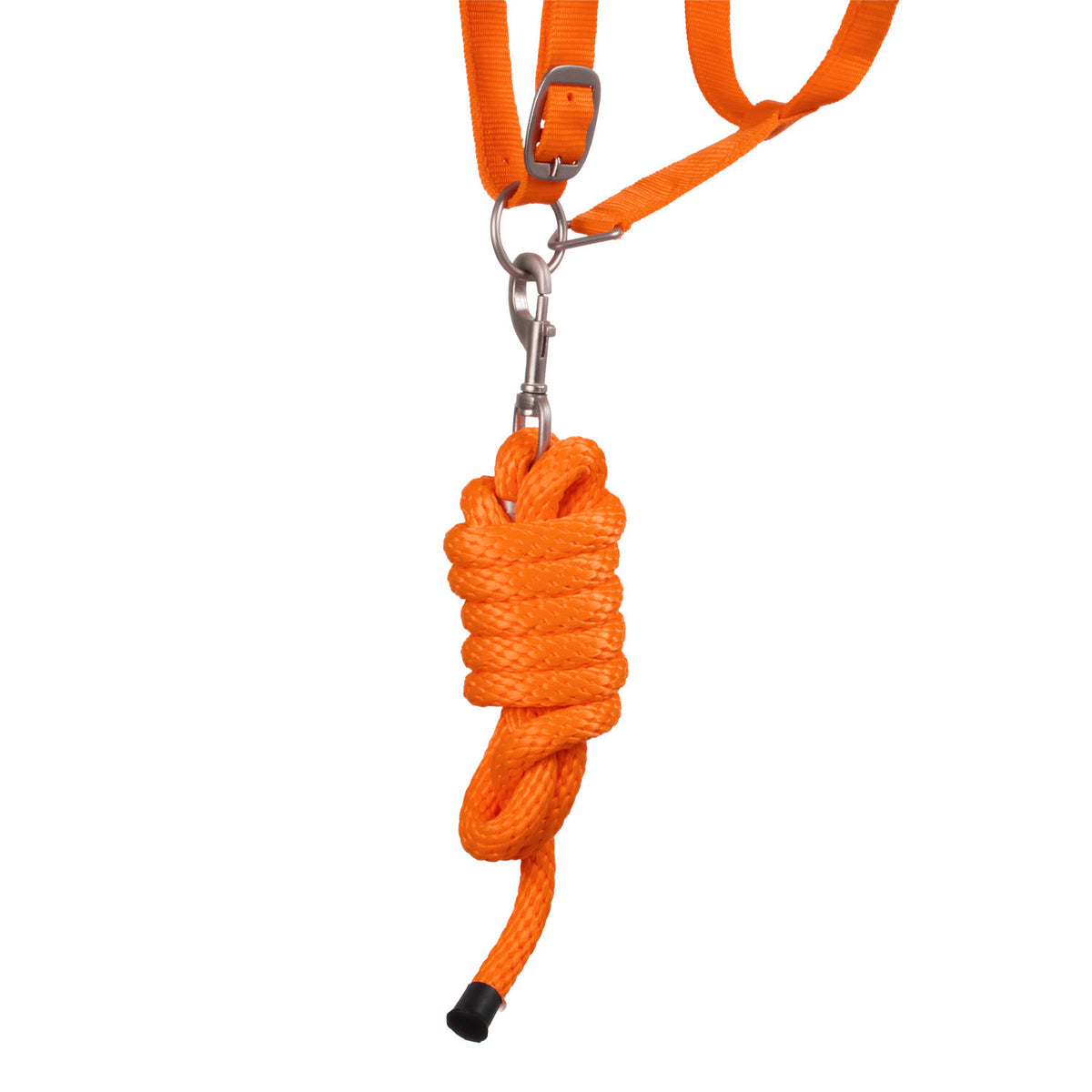 SYNTHETIC HALTER WITH LEAD  SOLID COLOR WITH REFLECTIVE STRIPES