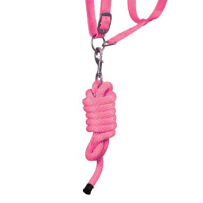 SYNTHETIC HALTER WITH LEAD  SOLID COLOR WITH REFLECTIVE STRIPES