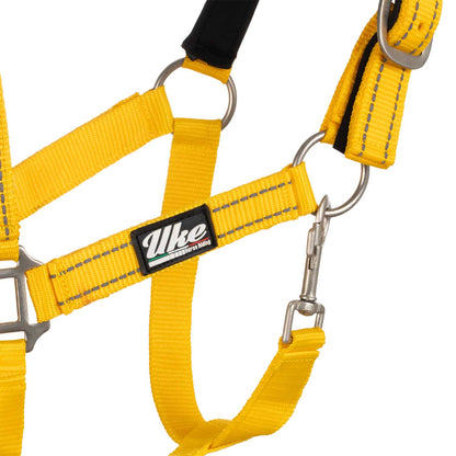 SYNTHETIC HALTER WITH LEAD  SOLID COLOR WITH REFLECTIVE STRIPES