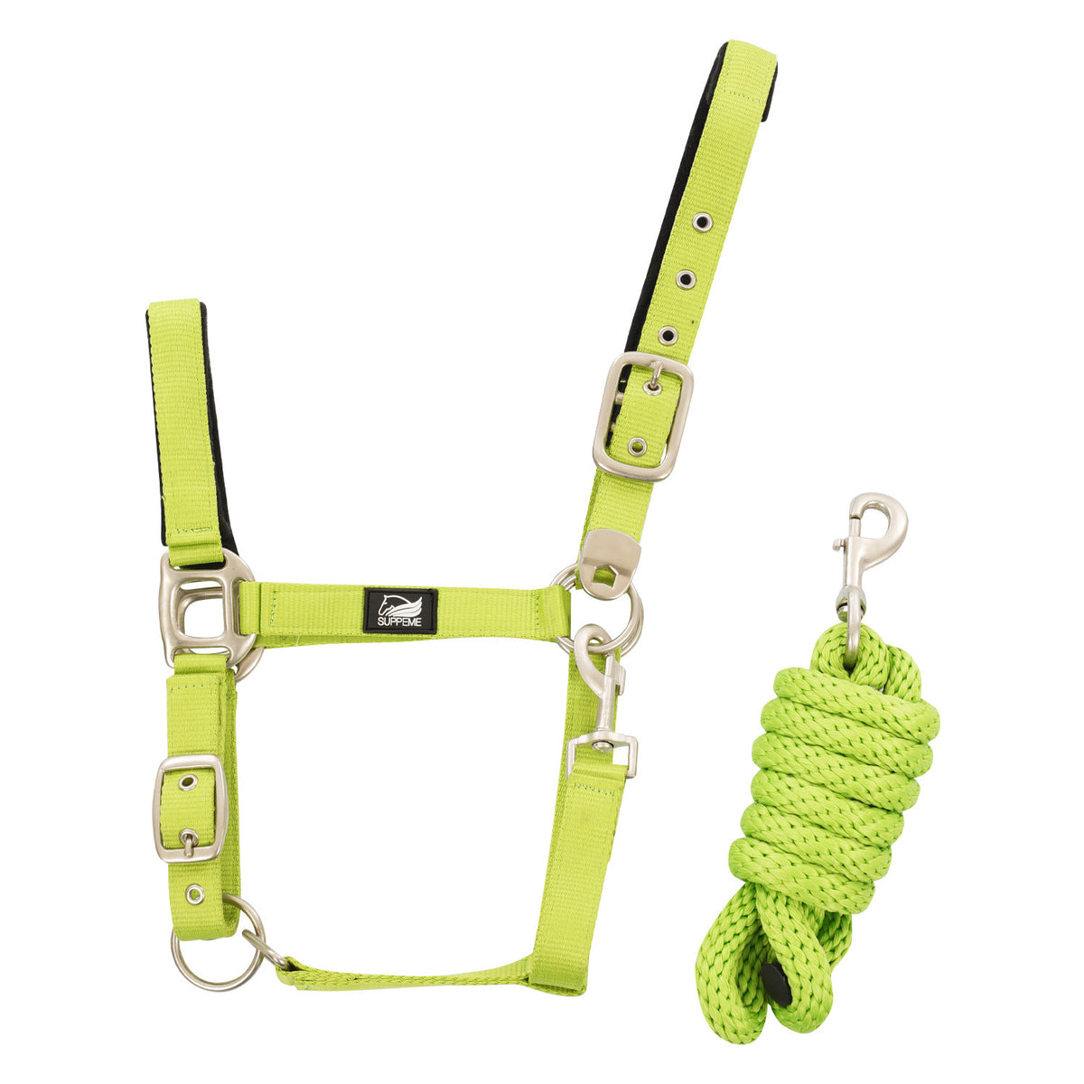 NYLON HALTER WITH LEATHER REINFORCEMENT. COMPLETE WITH LEAD