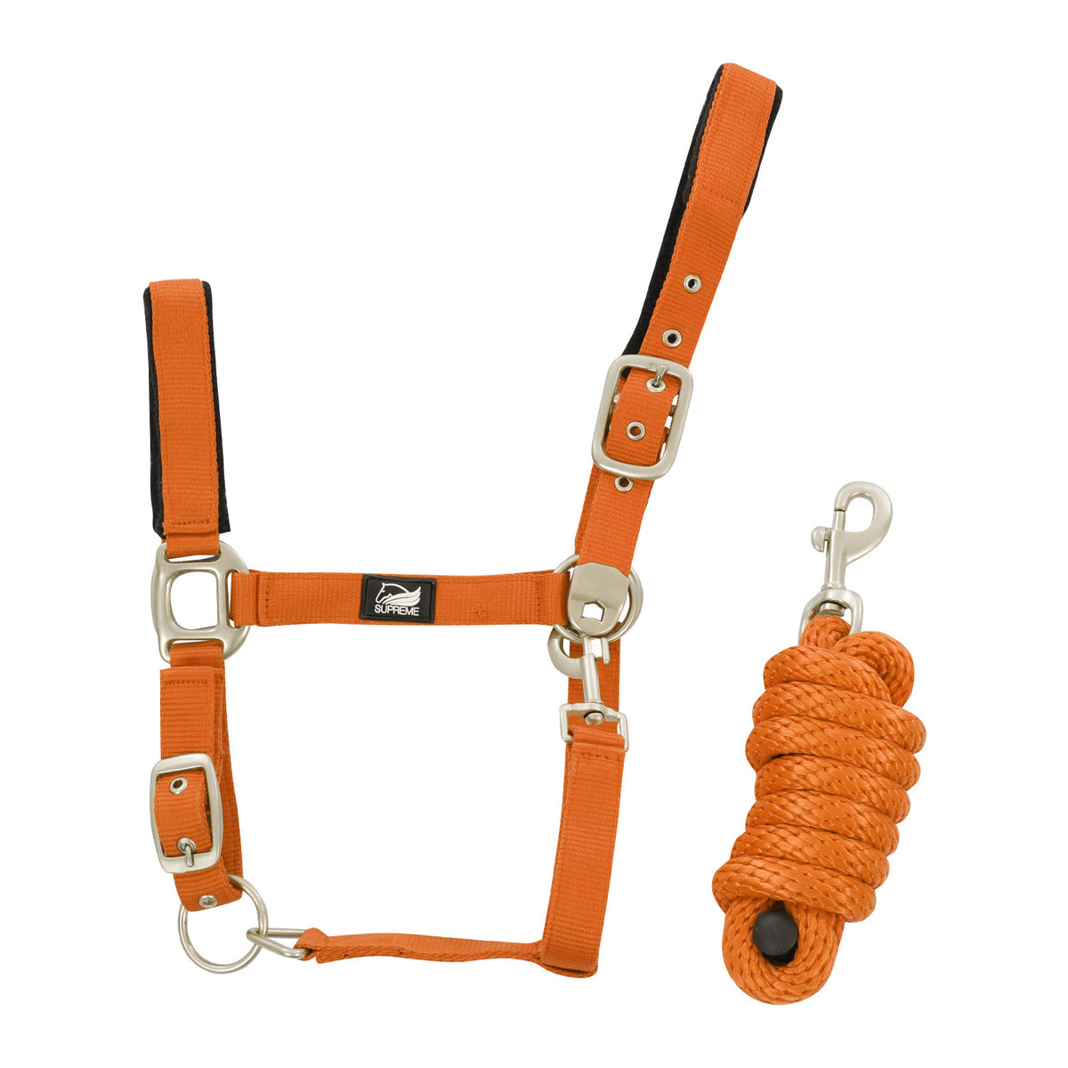 NYLON HALTER WITH LEATHER REINFORCEMENT. COMPLETE WITH LEAD