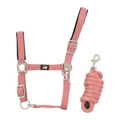 NYLON HALTER WITH LEATHER REINFORCEMENT. COMPLETE WITH LEAD.
