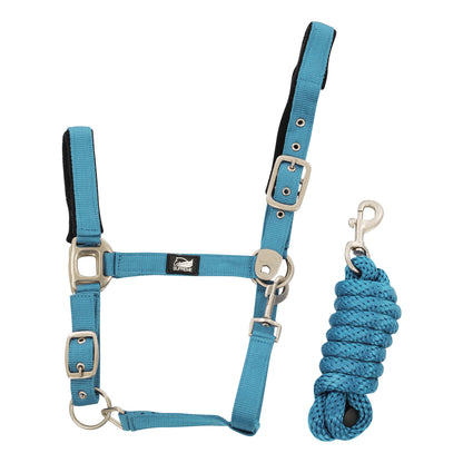 NYLON HALTER WITH LEATHER REINFORCEMENT. COMPLETE WITH LEAD