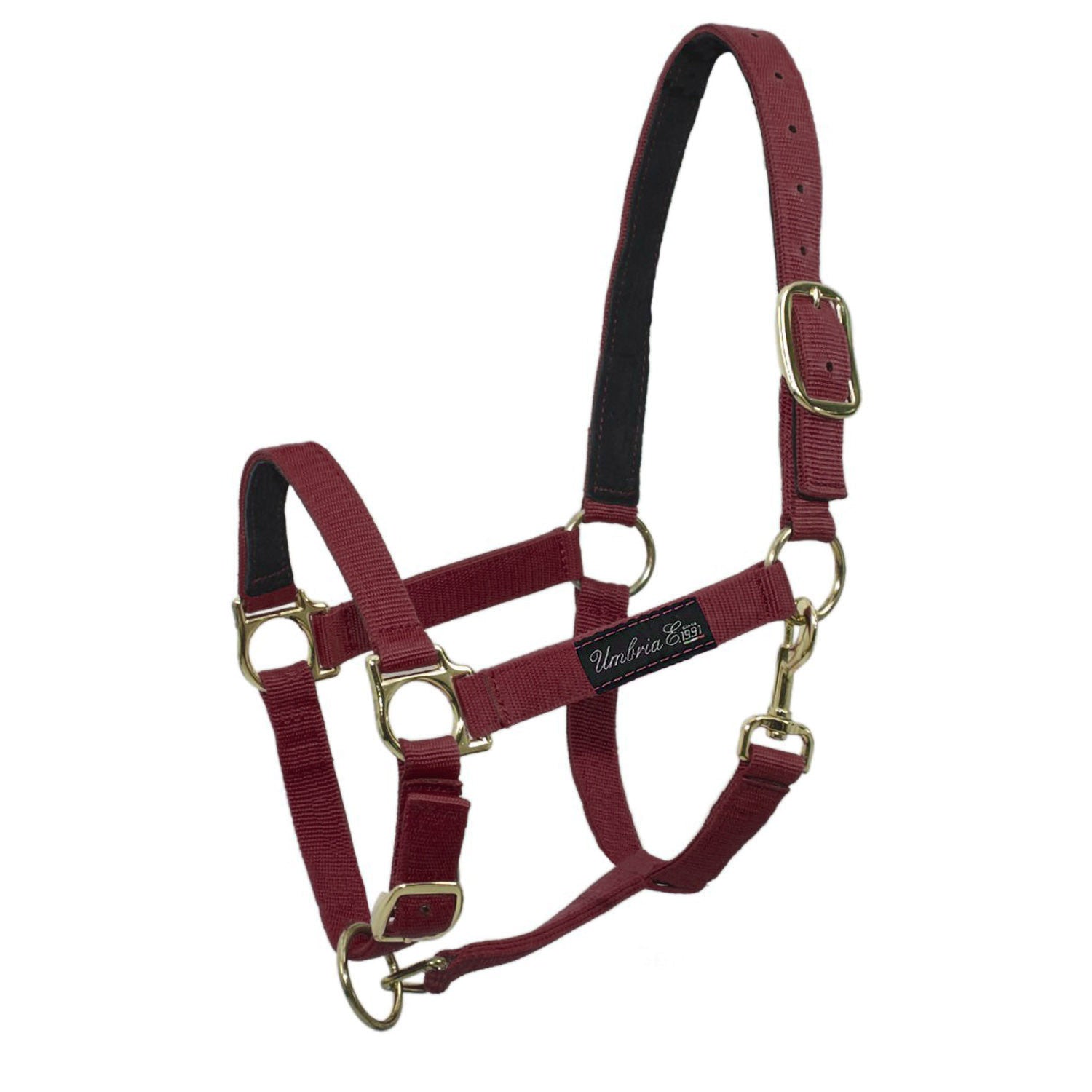 NYLON HALTER WITH LEATHER REINFORCEMENT.