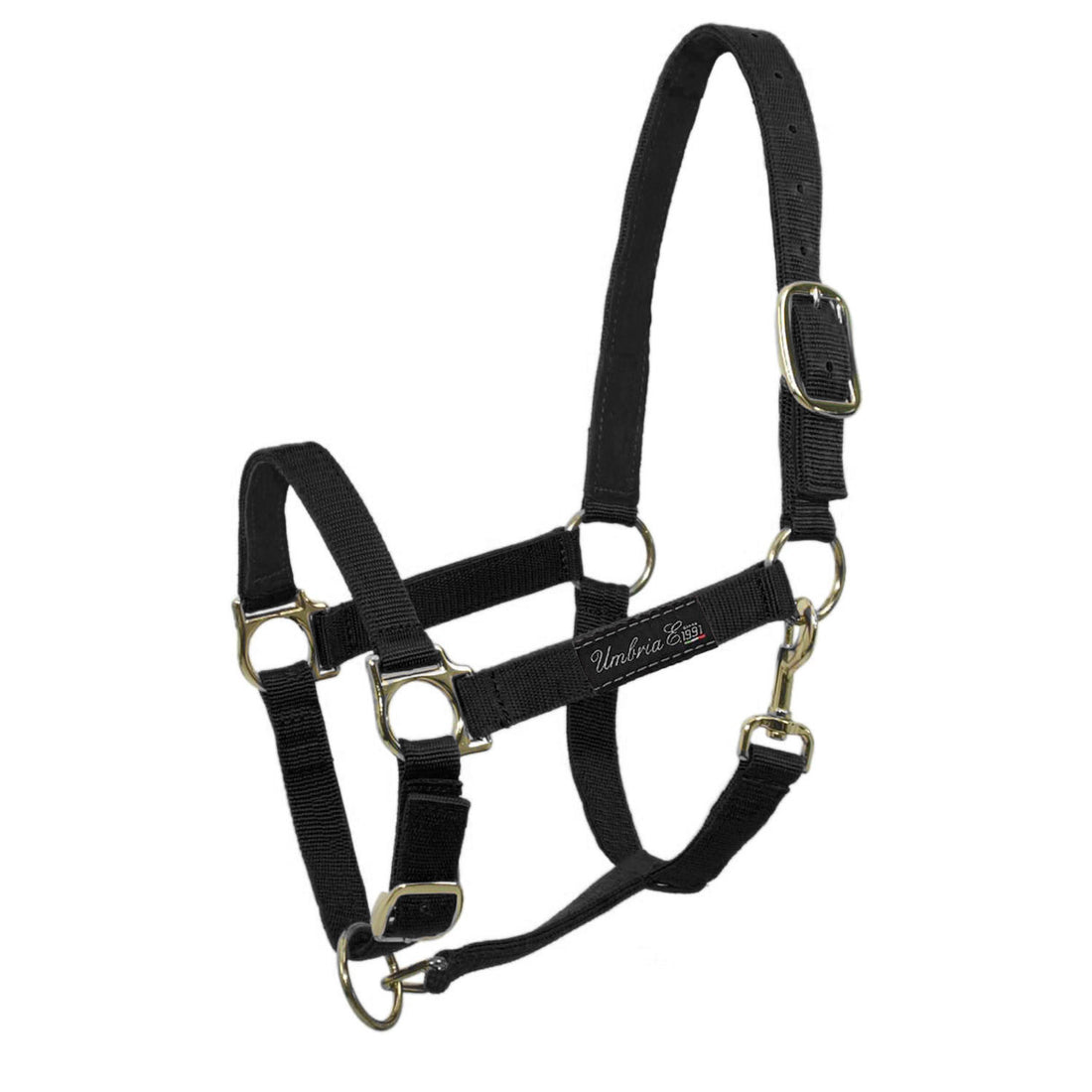 NYLON HALTER WITH LEATHER REINFORCEMENT.