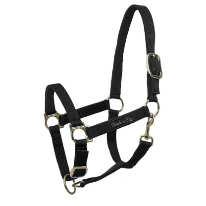 NYLON HALTER WITH LEATHER REINFORCEMENT.