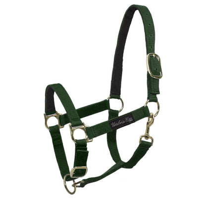 NYLON HALTER WITH LEATHER REINFORCEMENT