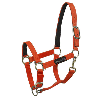 NYLON HALTER WITH LEATHER REINFORCEMENT