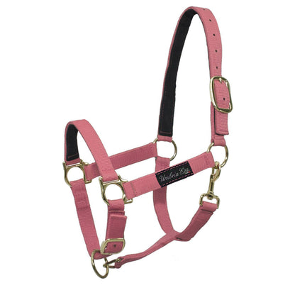 NYLON HALTER WITH LEATHER REINFORCEMENT