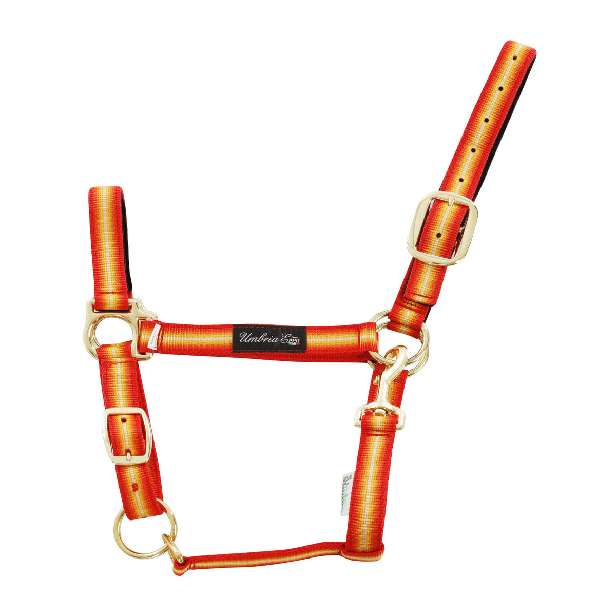 NYLON HALTER WITH LEATHER REINFORCEMENT