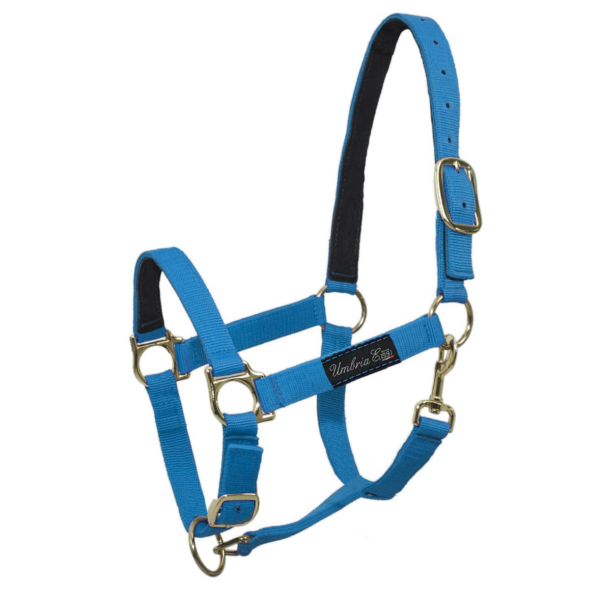 NYLON HALTER WITH LEATHER REINFORCEMENT